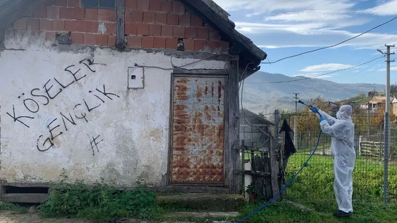 Yığılca'da Kahverengi Kokarca ile kışlak mücadelesi sürüyor