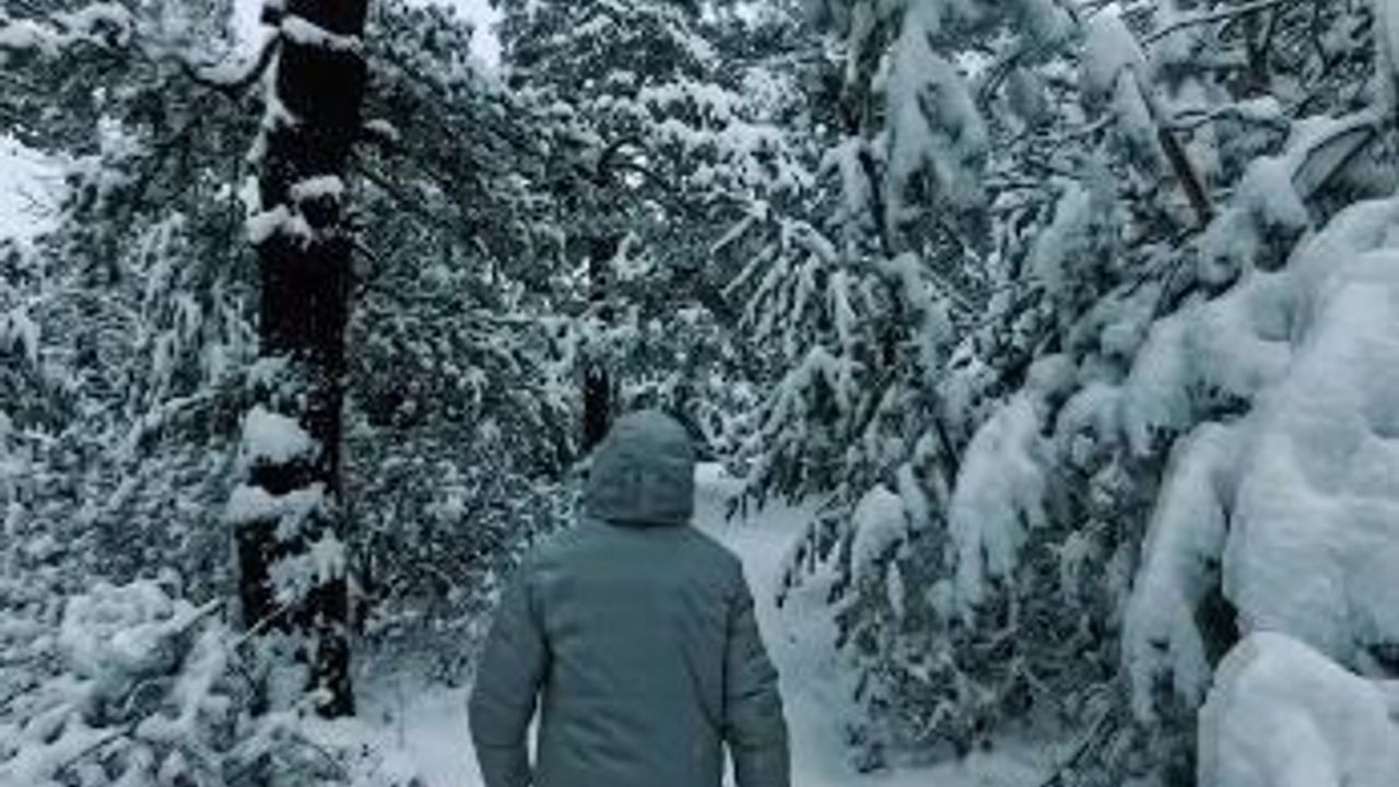 Yozgat Akdağmadeni'nde mevsimin ilk karı: Ormanlık alanda kartpostallık manzaralar