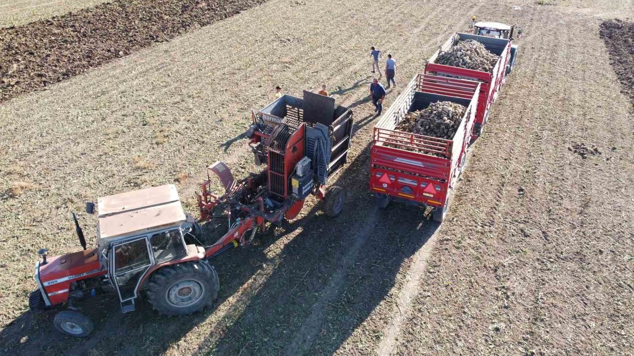 Yozgat'ta pancar hasadı sürüyor: Sorgun'da 6 aylık emeğin ürünü fabrikalara taşınıyor