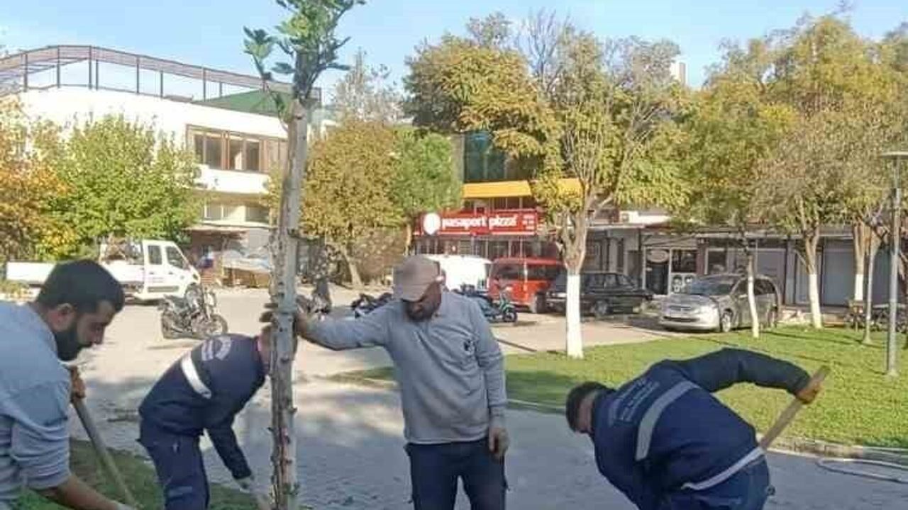 Yunusemre'de sonbahar ağaçlandırma çalışmaları devam ediyor