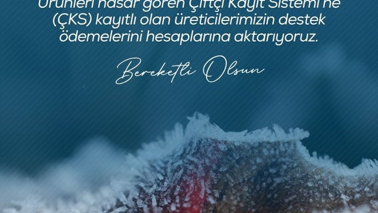 Zirai don zararı gören ÇKS'li üreticilere 798 milyon lira destek ödemesi