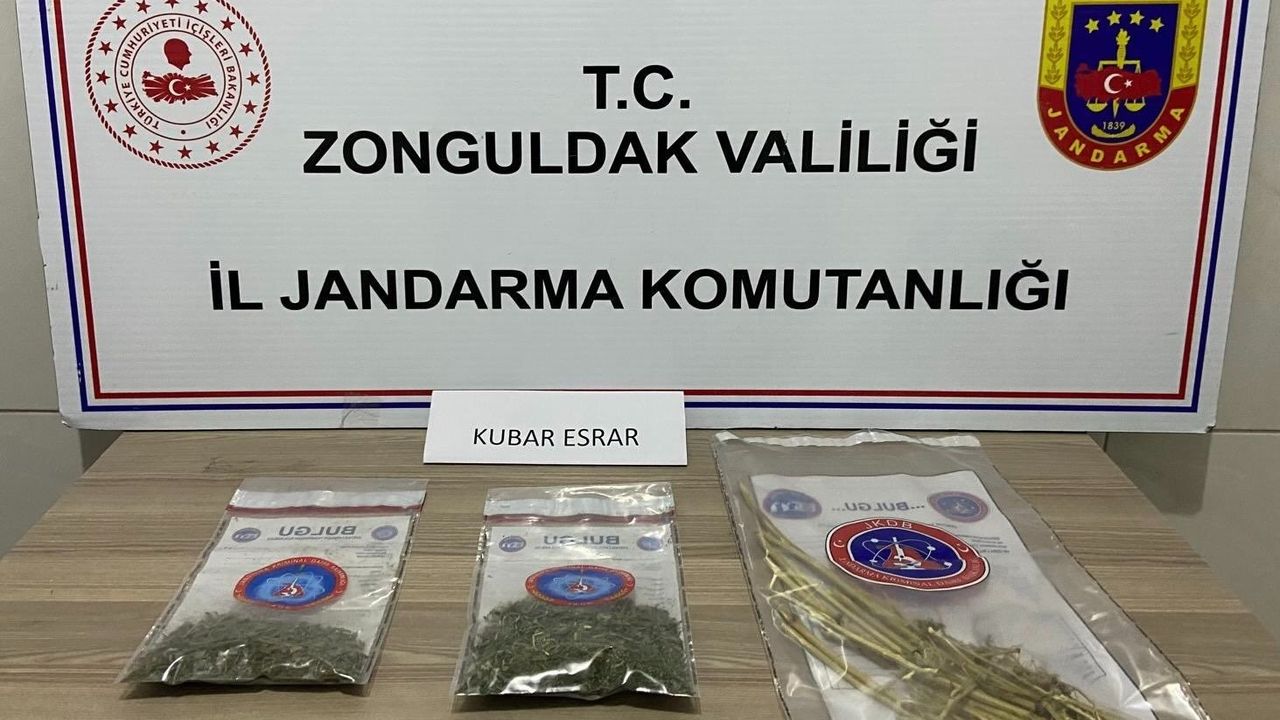 Zonguldak'ta jandarmanın üç ayrı narkotik operasyonunda çok miktarda uyuşturucu ele geçirildi