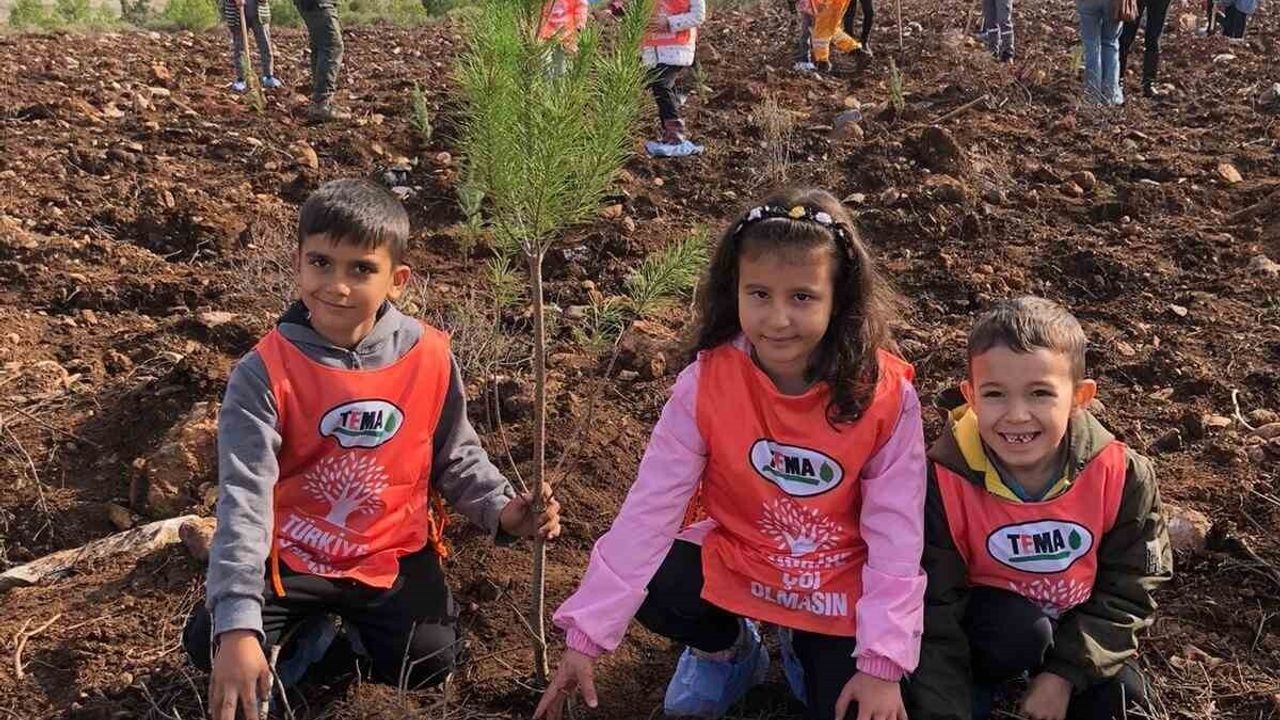 ‘81 İlde 81 Orman’ Projesi Muğla'ya Taşındı: Yatağan’da 20 Bin Fidan Dikiliyor