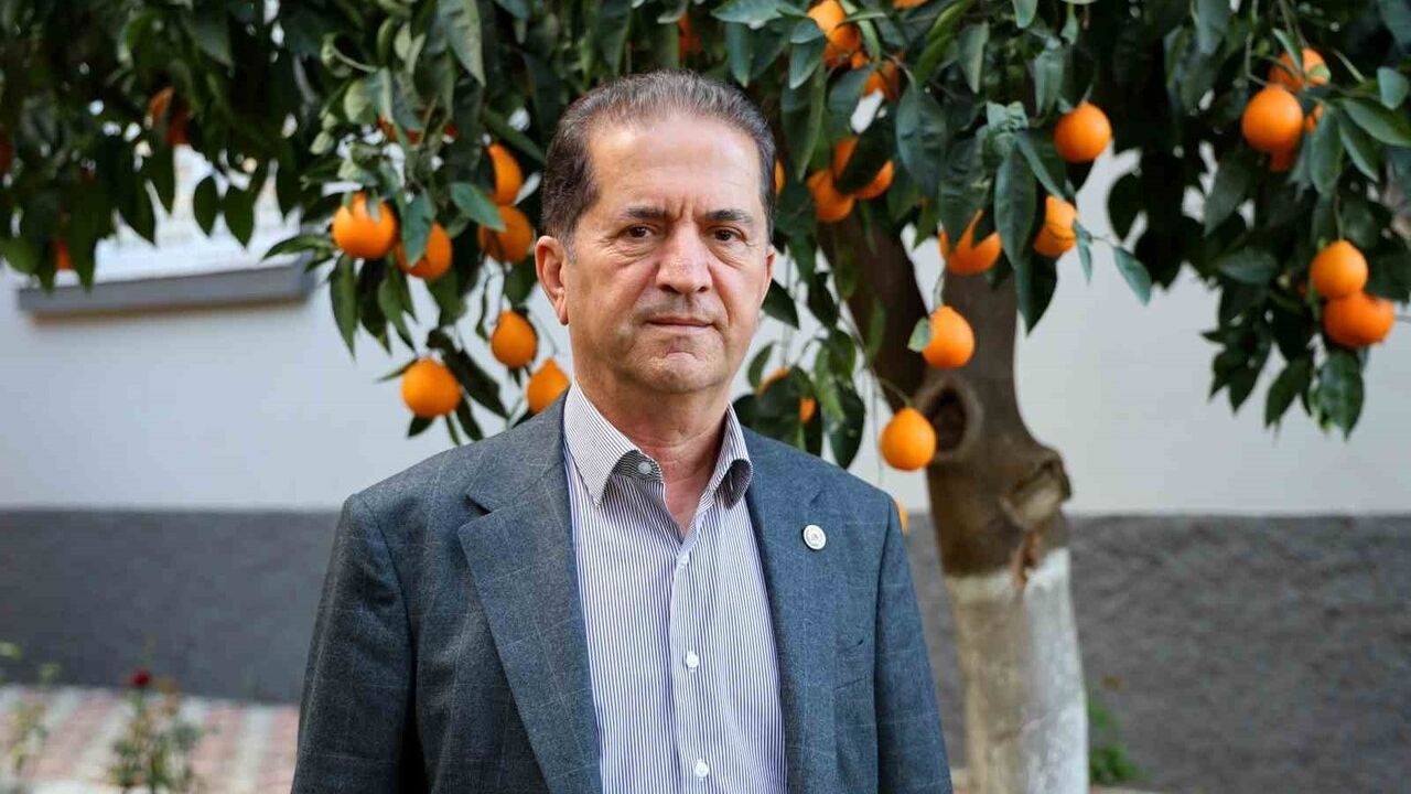 Adana'da mandalina fiyatları geriledi: Dalında 3 TL, pazarda 5-10 TL