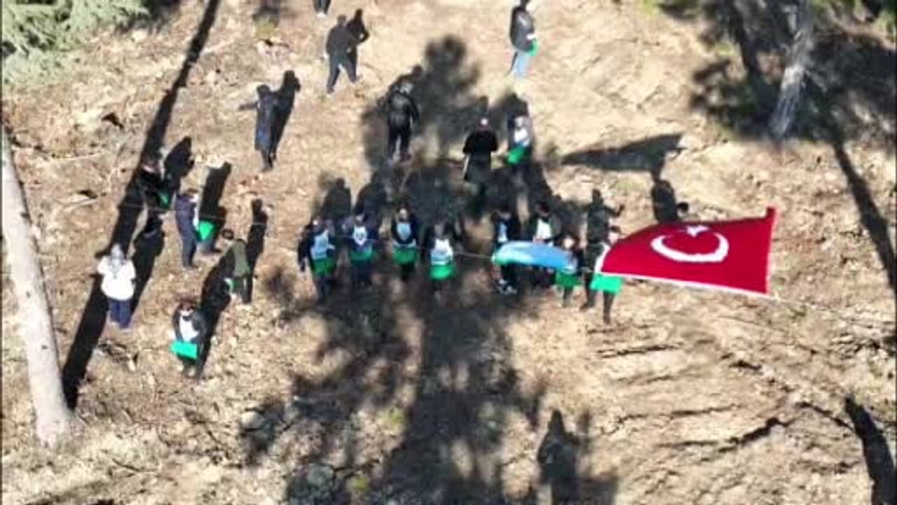 Adana'da sedir ormanlarının doğal yenilenmesi için 50 ton tohum toprakla buluştu