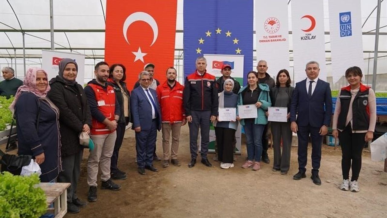 Adana'da topraksız marul üretimi başladı