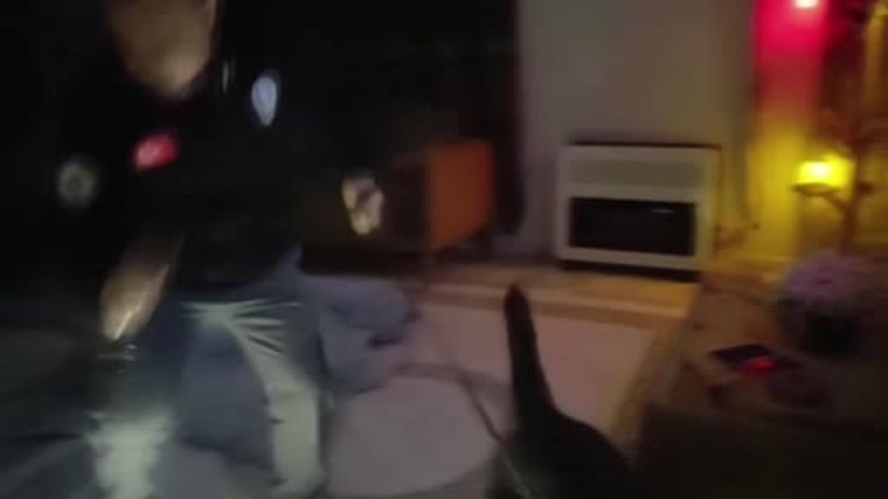 Adana'da 'torbacı' operasyonu: 156 bin 418 uyuşturucu hap ele geçirildi, 5 tutuklama