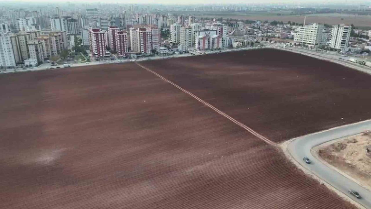 Adana Sarıçam'da apartmanlar arasında kalan tarla korunuyor: Sahip patates ekti, mahalle desteği sürüyor