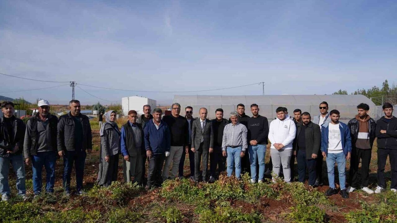 ADYÜTAYAM'da yer fıstığı hasadı ve sera denemeleri başarıyla tamamlandı