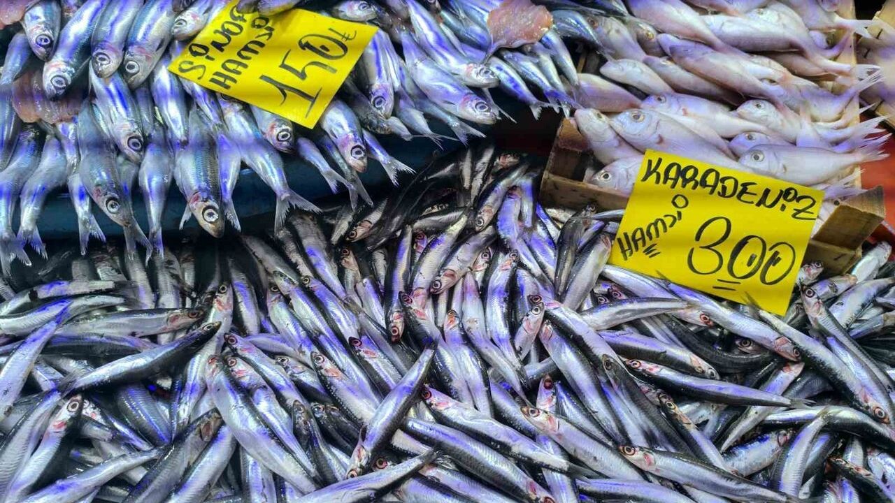 Afyonkarahisar Şuhut'ta soğuyan havayla hamsi talebi arttı