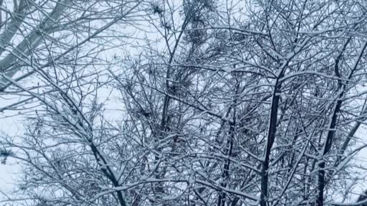 Ağrı'da Gece Boyunca Süren Kar Yağışı Kent Merkezi ve İlçeleri Beyaza Bürüdü