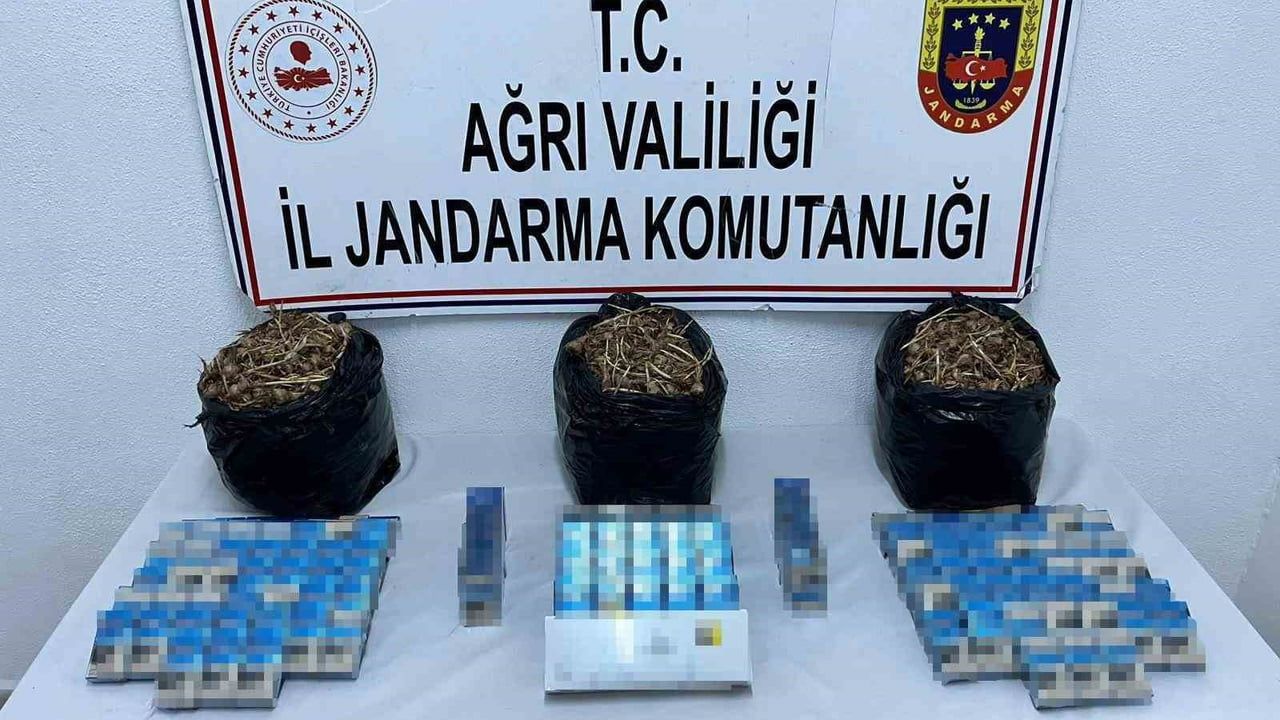 Ağrı'da jandarmanın yol kontrolünde 840 paket kaçak sigara ve 15 kg safran tohumu ele geçirildi