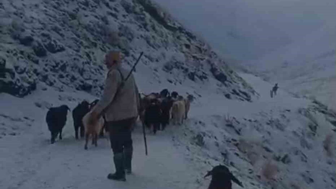 Ağrı’da kar ve tipi ulaşımı aksattı: Eleşkirt'te 3 köy yolu açıldı, Taşlıçay'da sürü toplandı