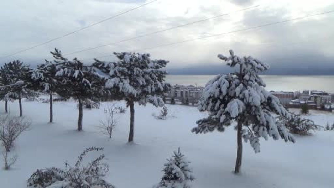 Ahlat'ta kar yağışı: 20 köy yolu ulaşıma kapandı