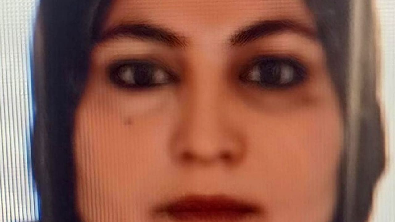 Akçakale'de Eşini Dövdüğü İddia Edilen Şahıs Olayı Trafik Kazası Süsüyle Gizlemeye Çalıştı