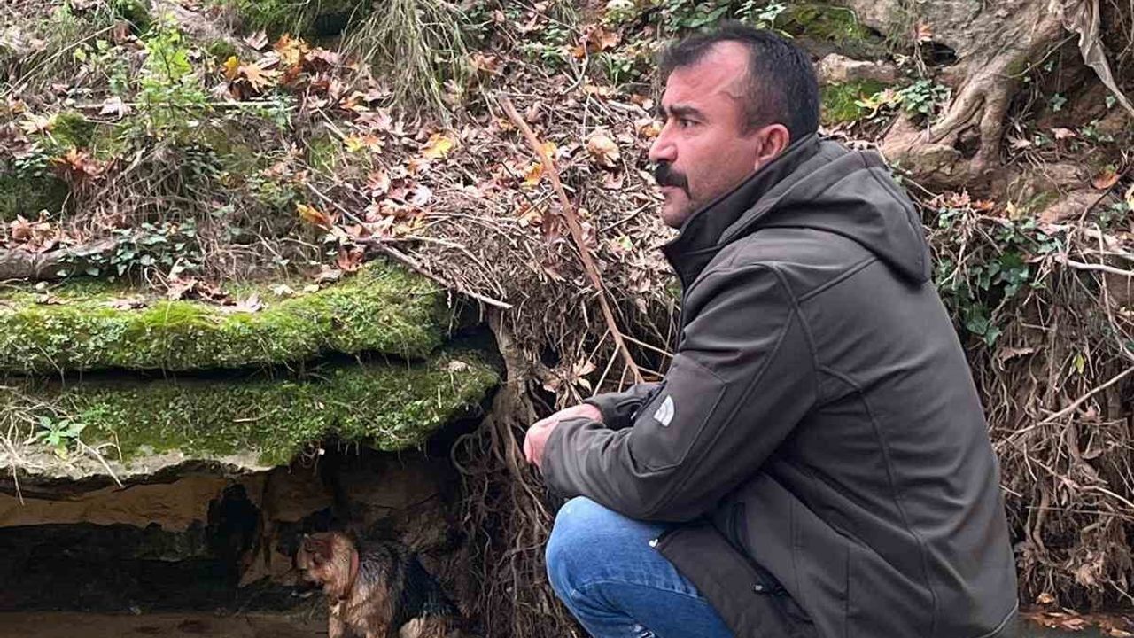 Aksu'da dereye düşen köpek itfaiye ekiplerince kurtarıldı