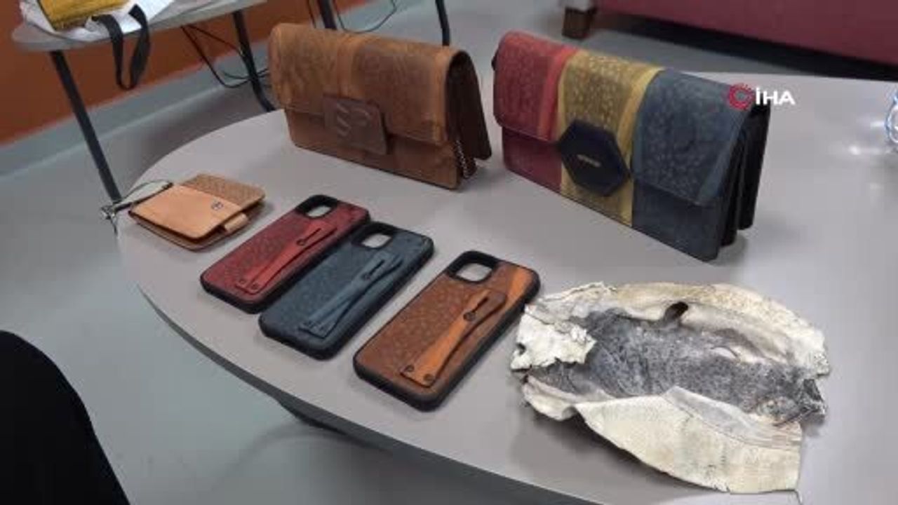 Alanya'da balon balığı derisinden aksesuar projesinin izinsiz kullanıldığı iddiası mahkemeye taşındı