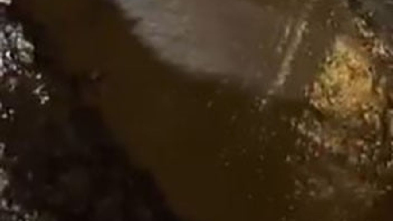 Alanya'da DSİ sulama borusu patladı: Park halindeki otomobil portakal bahçesine sürüklendi