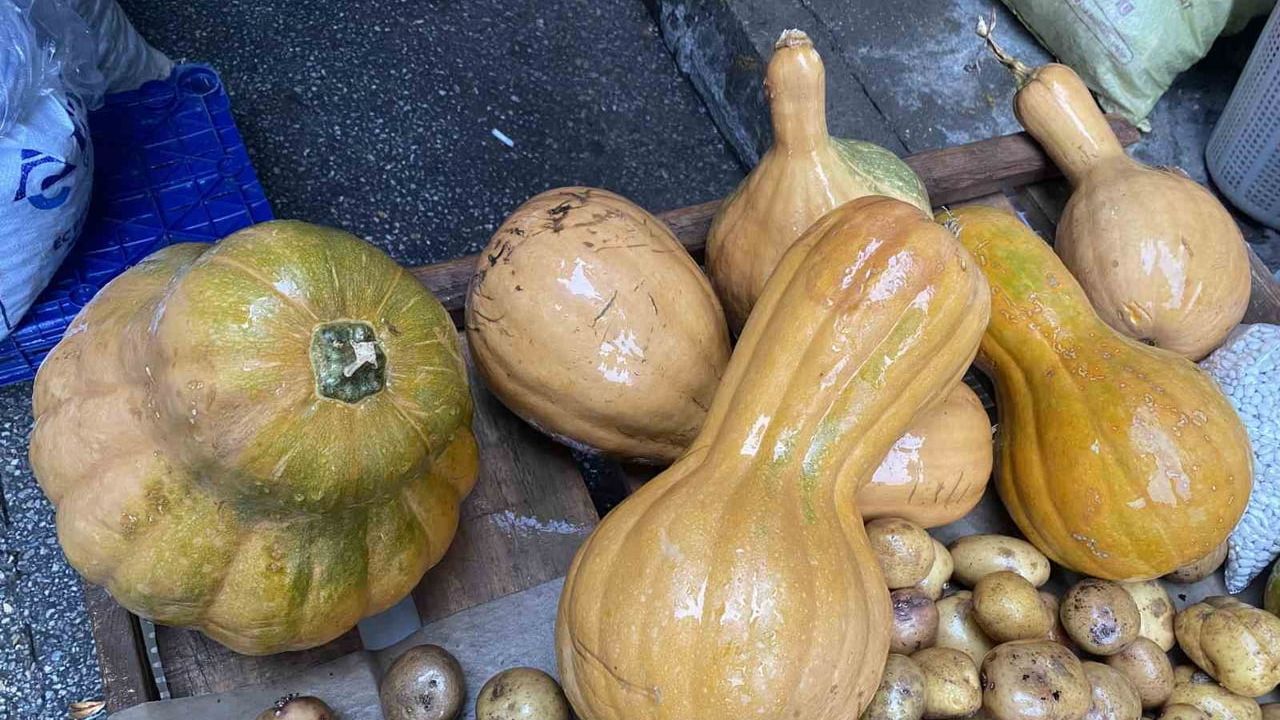 Alaşehir semt pazarında bal kabağı: Meyvesi ve çekirdeğiyle şifa kaynağı