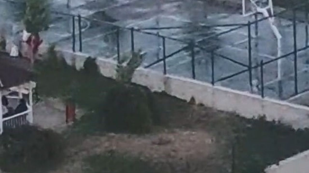 Ankara Etimesgut’ta pitbullun iki çocuğa saldırısı: Sahibinin tasmasız ve ağızlıksız gezdirdiği görüntüler ortaya çıktı