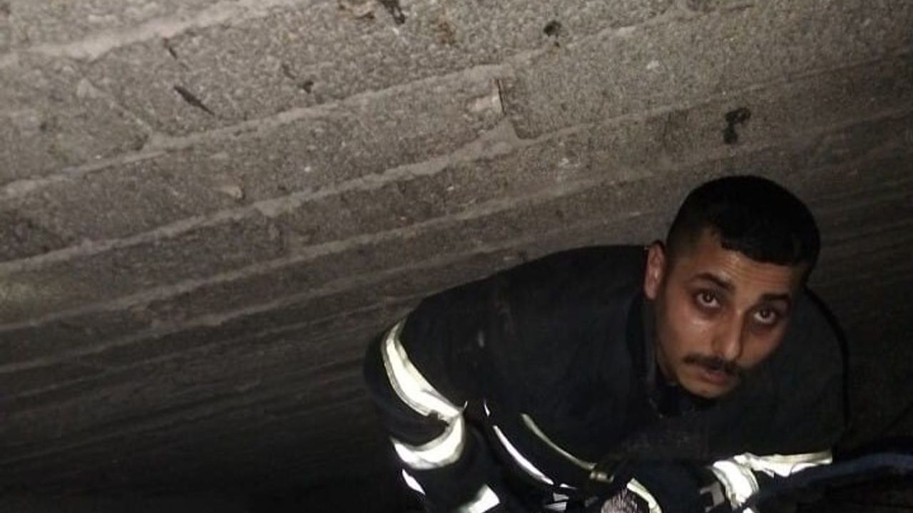 Antakya’da havalandırma boşluğuna düşen yavru kedi itfaiye tarafından kurtarıldı