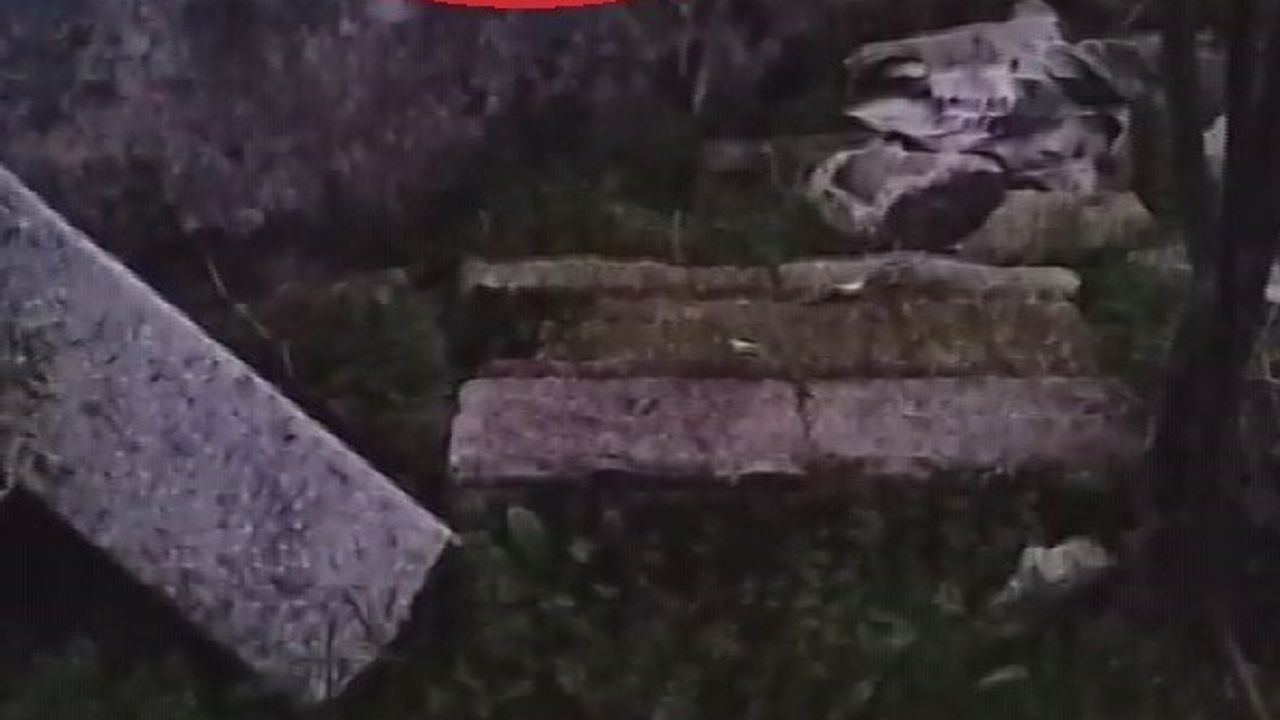 Antakya'da su kuyusuna düşen yavru kedi itfaiye tarafından kurtarıldı