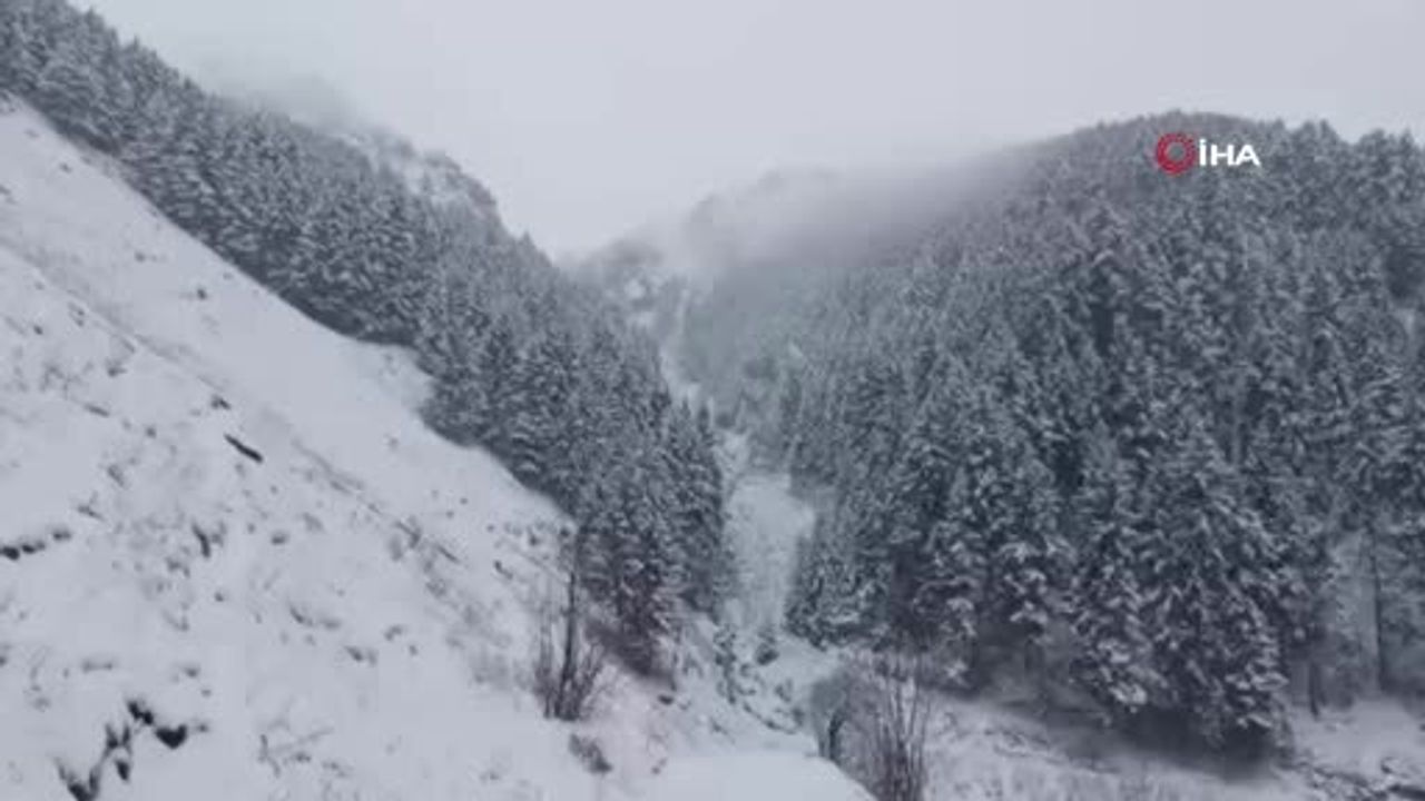 Anzer Yaylası'nda kar yağışı ulaşımı etkiledi, yayla kartpostallık görüntüler oluşturdu