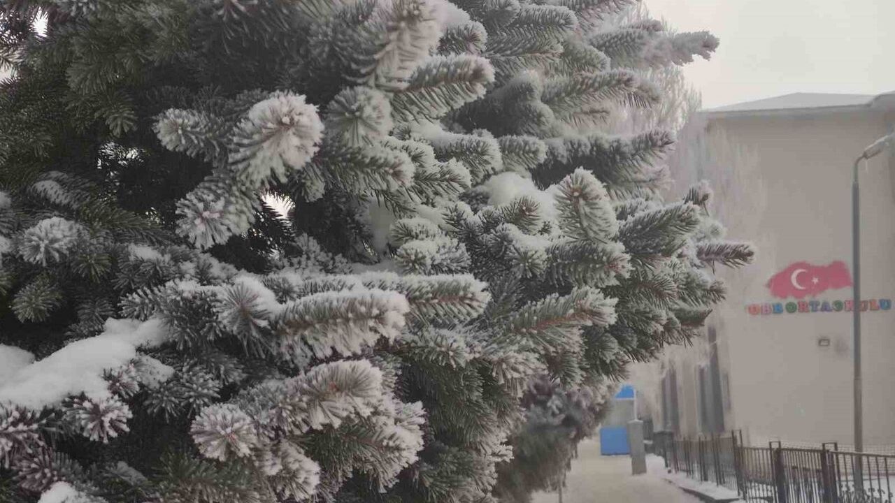 Ardahan'da dondurucu soğuk ve sis: Göle'de sıcaklıklar eksi 17,9 dereceye düştü