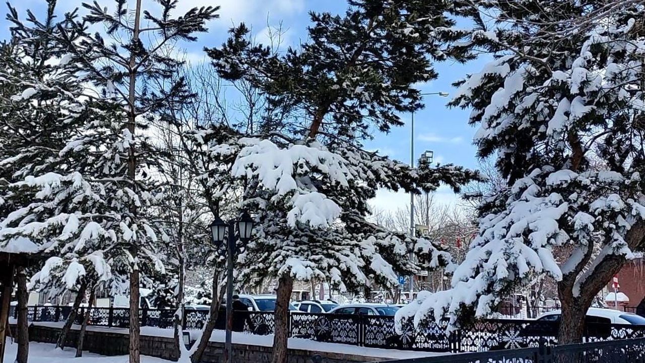 Ardahan’da Karın Ardından Ağaçlarda Kartpostallık Görüntüler