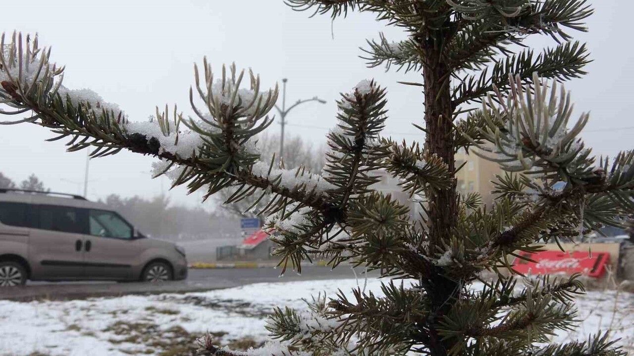 Ardahan'da soğuk hava dalgası: Termometreler eksi 15 dereceyi gösterdi