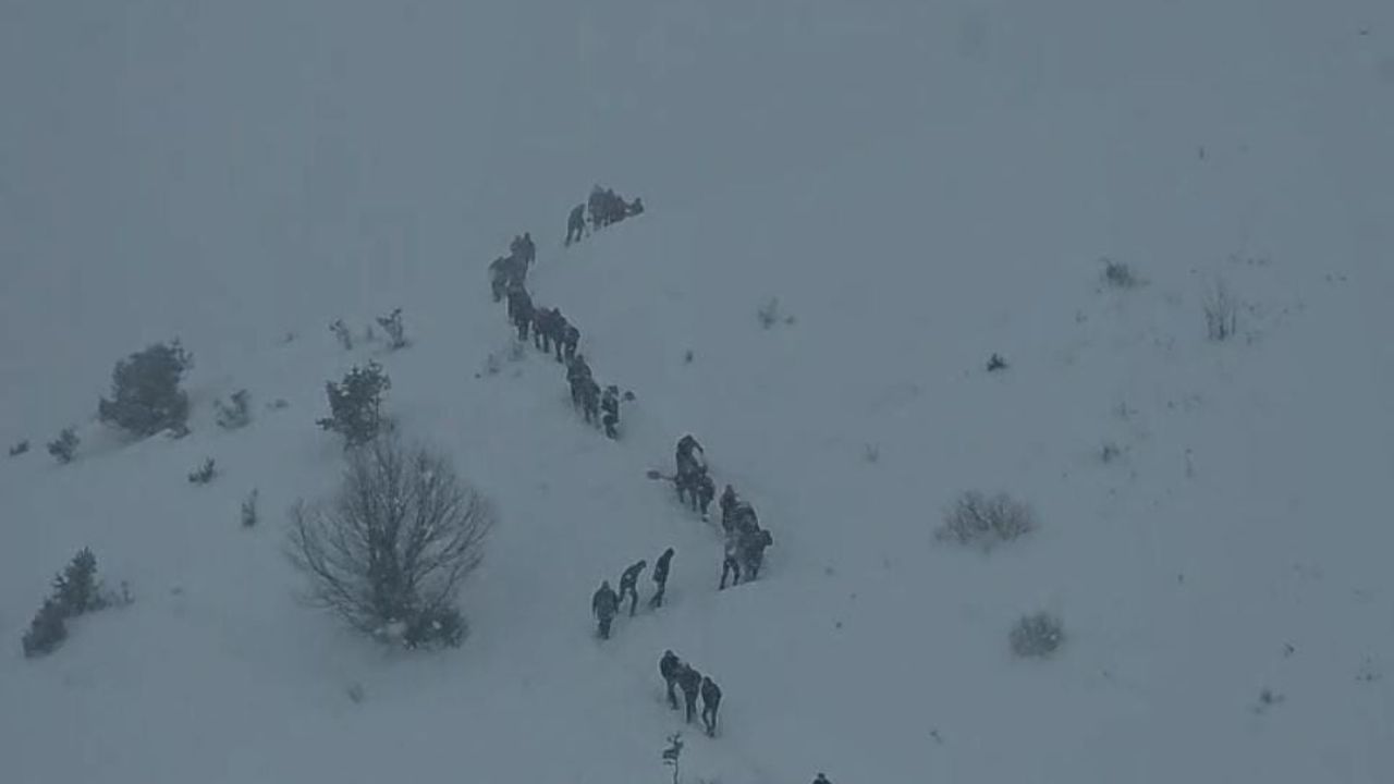 Ardanuç’ta Aksu Yaylası'nda Çığ: 3 Çoban ve Sürüleri Çığın Altında Kaldı, Kurtarma Çalışmaları Sürüyor