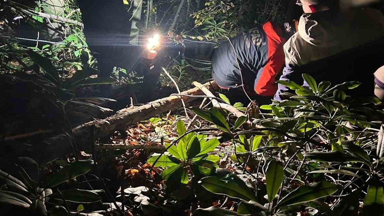 Arifiye'de orman işçisi düştü — AFAD, UMKE ve jandarma ekipleri kurtardı