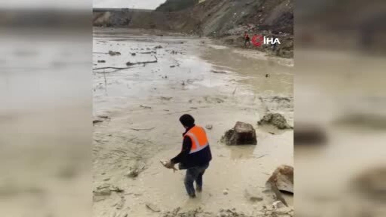 Arnavutköy'de Bolluca Mavi Göl'ün dolgu çalışması su seviyesini düşürdü; binlerce balık çamurda yaşam mücadelesi veriyor