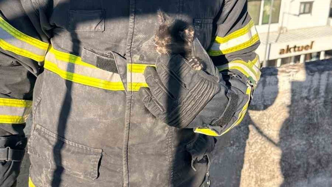 Arsuz'da havalandırma boşluğuna düşen yavru kedi itfaiye ekiplerince kurtarıldı