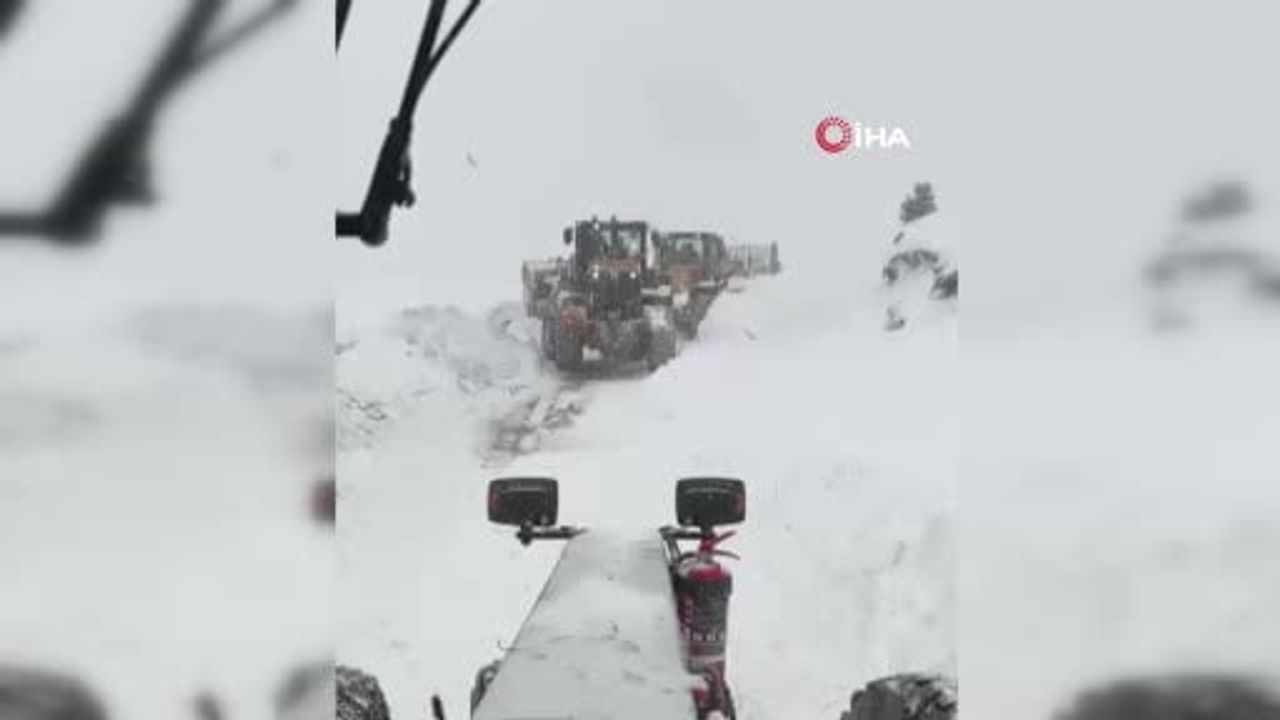 Artvin Aksu Yaylası'nda çığ: AFAD ve ekipler bölgeye sevk edildi