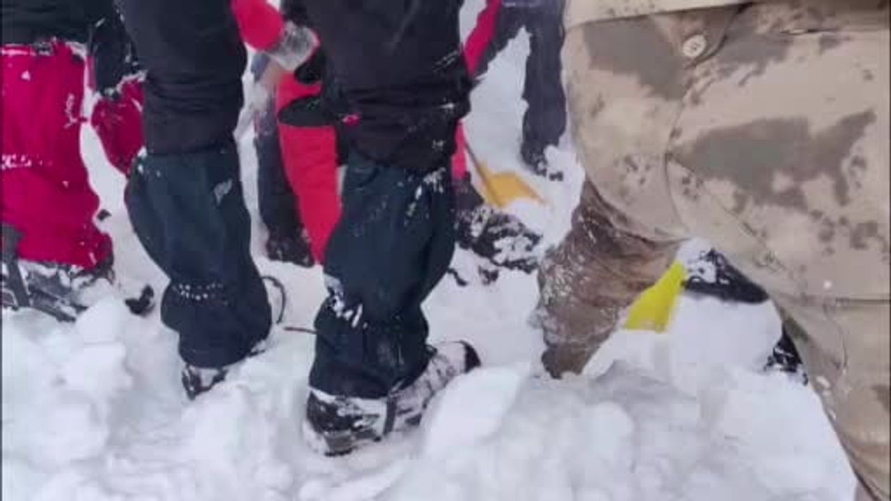 Artvin Ardanuç Aksu Yaylası'nda çığ: 1 çoban hayatını kaybetti, 2 kişi kayıp