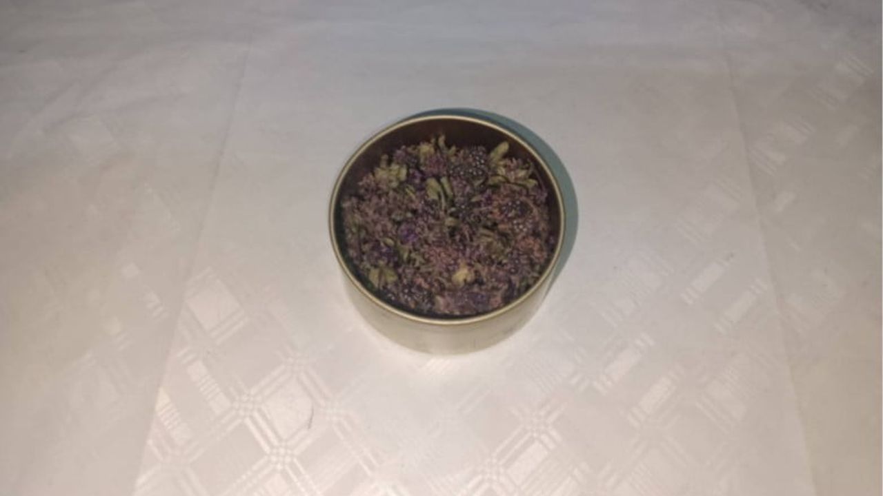 Artvin’de Endemik Yayla Çayı Çiçeği Kaçakçılığına Jandarma Müdahalesi