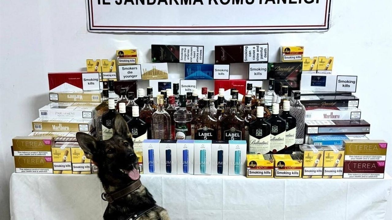 Artvin'de Jandarma Operasyonu: 1 Milyon TL Değerinde Kaçak Ürün Ele Geçirildi, 26 Şüpheli Yakalandı