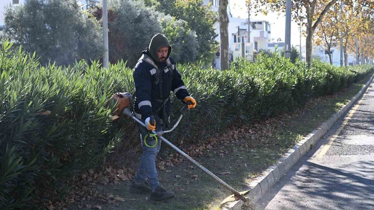Aydın Büyükşehir Belediyesi Didim'de kapsamlı çevre ve peyzaj çalışması yürütüyor