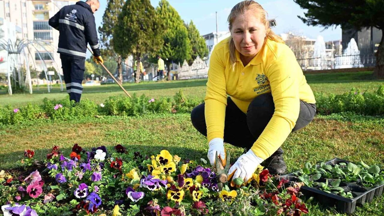 Aydın Büyükşehir Belediyesi Efeler’de Kapsamlı Çevre Bakımı Yapıyor