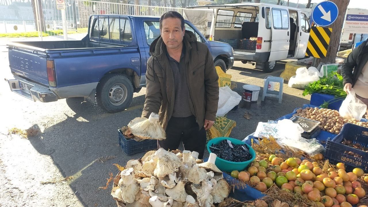 Aydın'da Paşa Yaylası'ndan toplanan dev mantarlar pazarda ilgi gördü