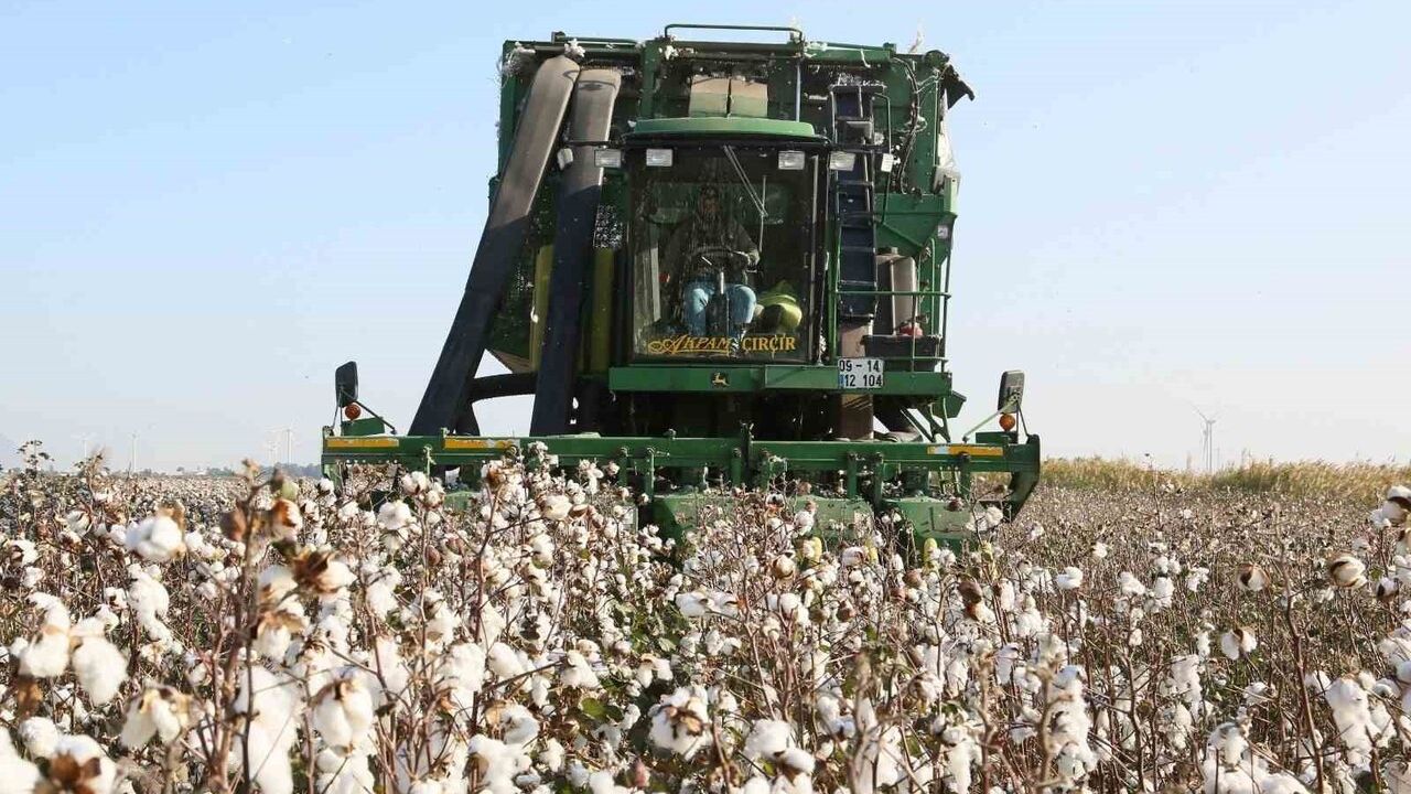 Aydın İl Tarım Müdürlüğü: 2026 ÇKS başvurularında 31 Aralık 2025 son tarihi hatırlatıldı