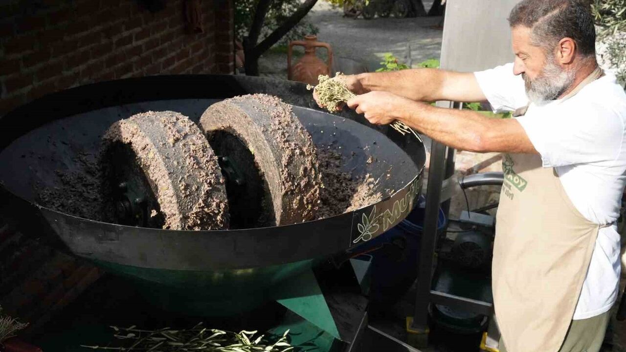 Ayvalık'ta taşbaskıda kekikli zeytinyağı üretimi