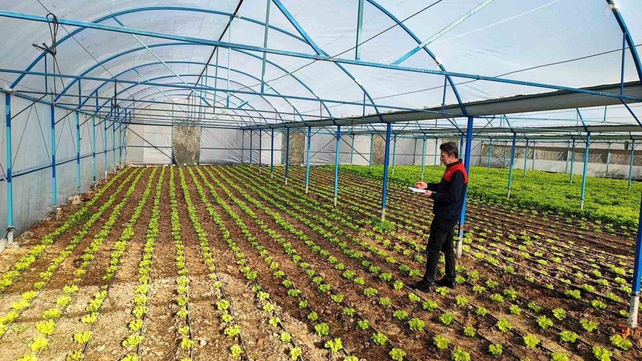 Babaeski'de sera ve sarımsak üretim koşulları yerinde denetlendi