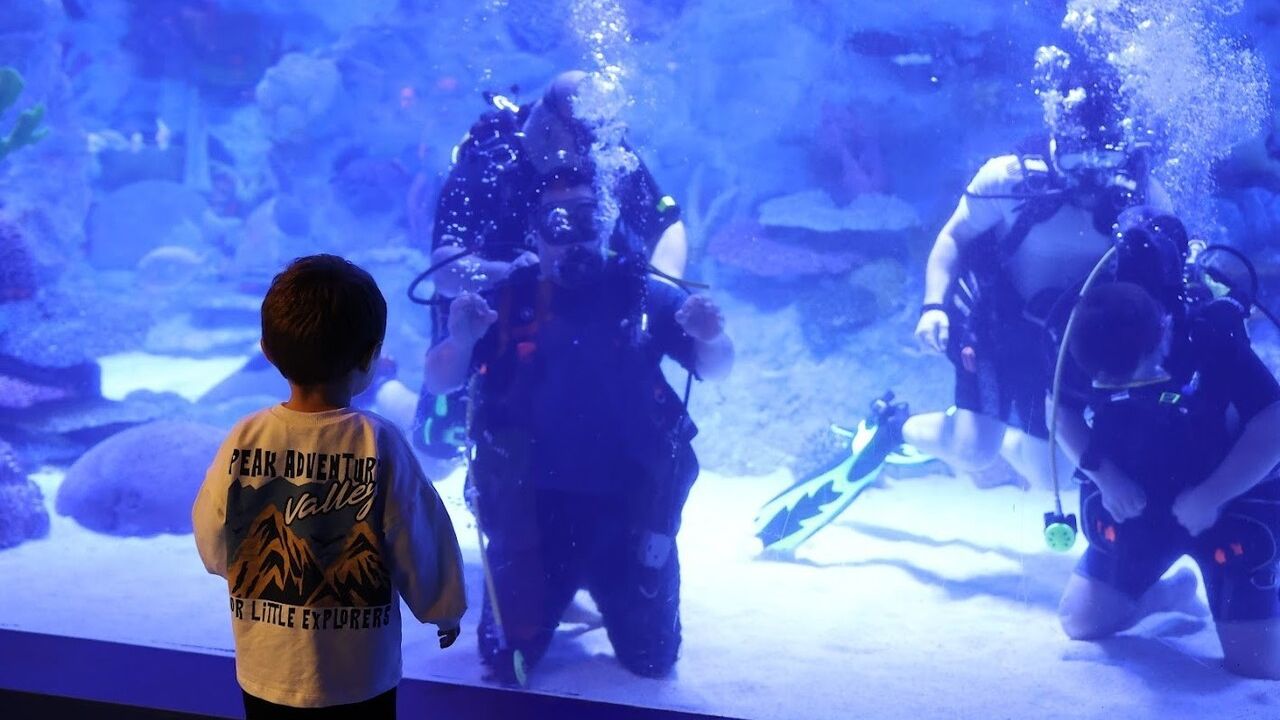 Bağcılar kursiyerleri Dünya Engelliler Günü'nde akvaryumda engelsiz dalış gerçekleştirdi