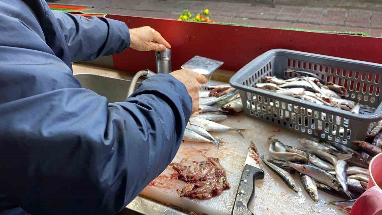 Balık tazeliğinde doğru bilinen yanlış: Uzman Gözü Değil, Karın ve Renk Önemli diyor