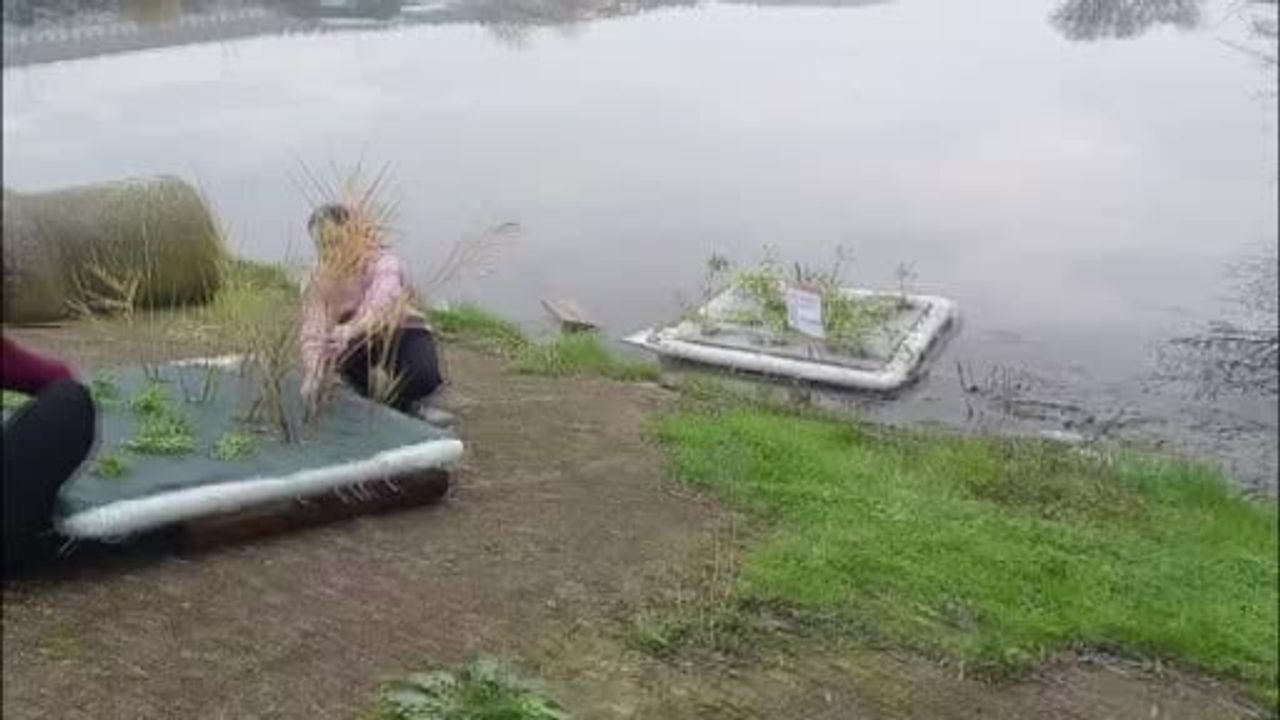 Balıkesir’de Yüzen Bitki Adacıklarıyla Göletlerde Su Arıtma Pilot Çalışması