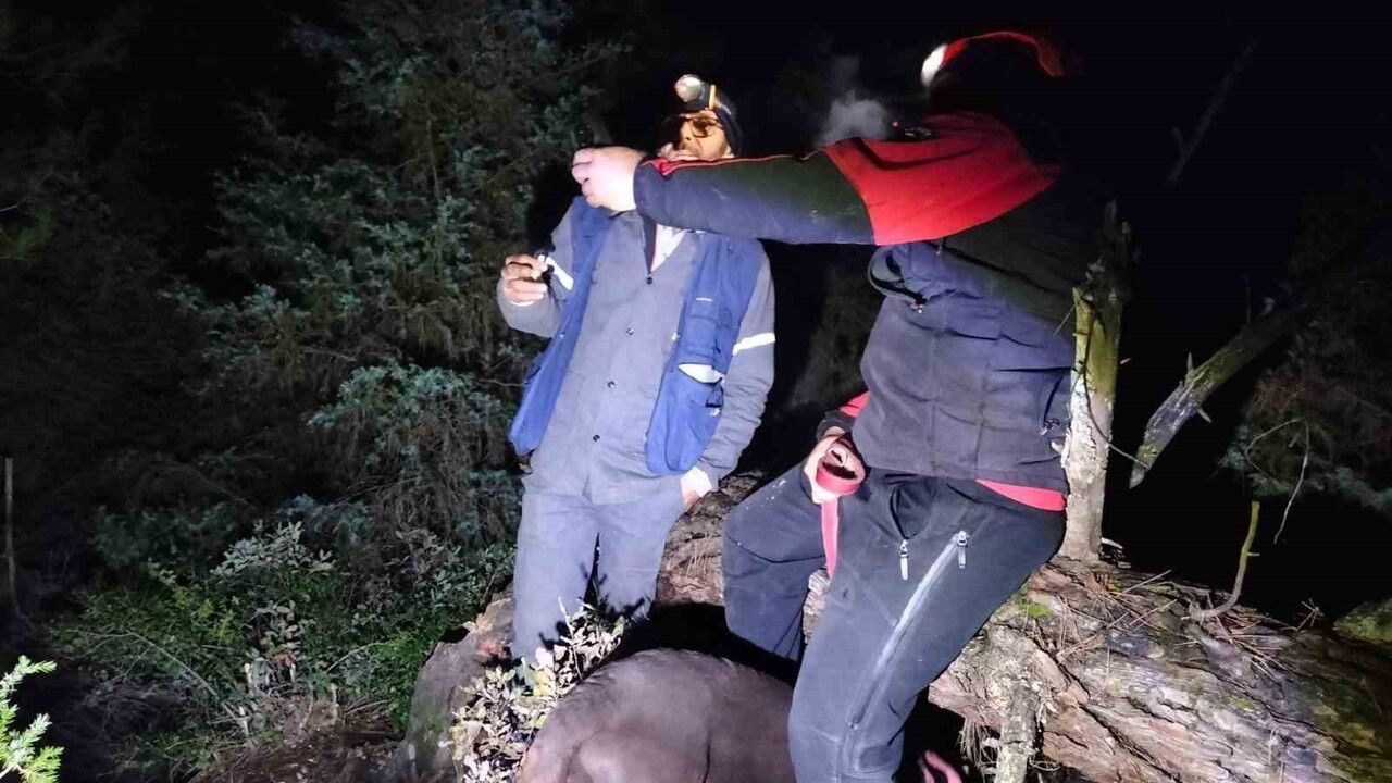 Balya'da mantar aramak için ormana giden 77 yaşındaki sağır ve dilsiz vatandaş bulundu