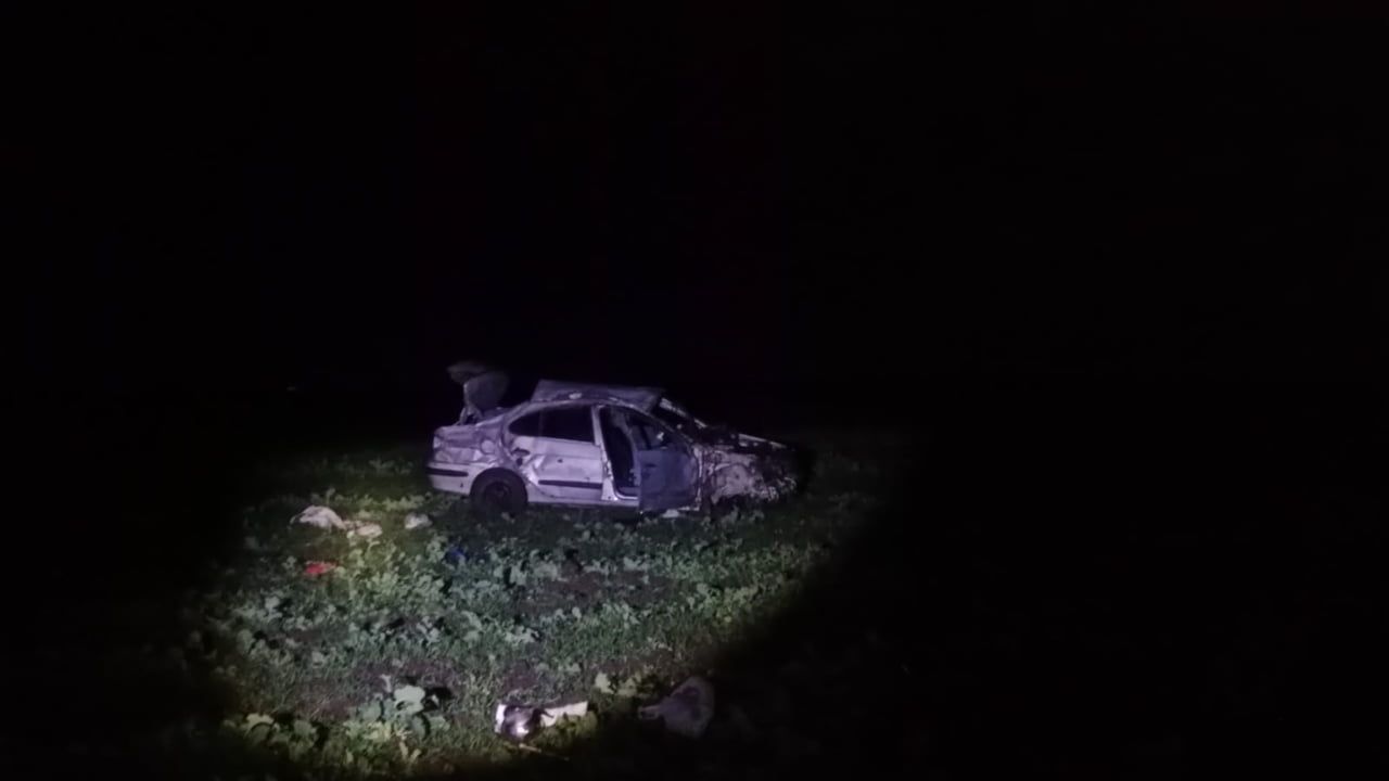 Bandırma'da otomobil domuza çarpıp takla attı: 1 ölü, 1 yaralı