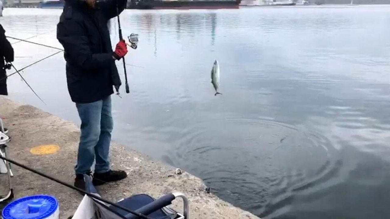 Bandırma L İskele'de Palamut Bereketi: Amatör Balıkçılar Kovalarını Doldurdu